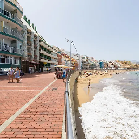Seaweed By Canariasgetaway * Las Palmas de Gran Canaria