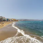 Seaweed By Canariasgetaway