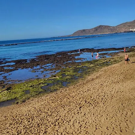 Апартаменты Seaweed By Canariasgetaway