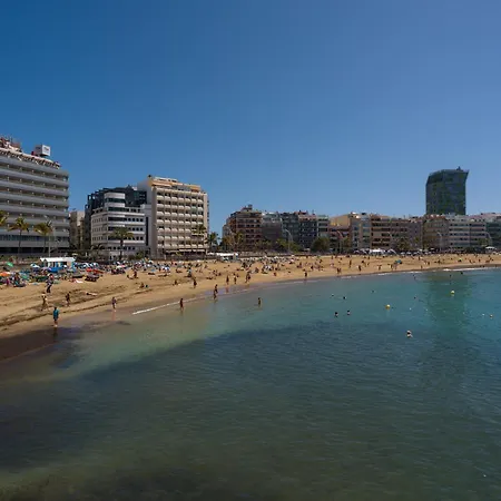 Seaweed By Canariasgetaway Las Palmas de Gran Canaria