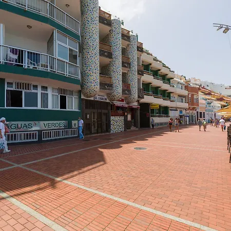 Seaweed By Canariasgetaway * Las Palmas de Gran Canaria