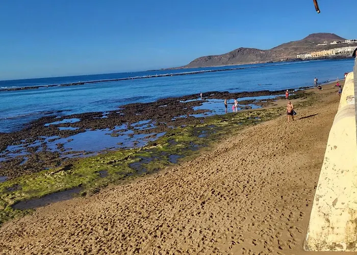 Apartamento Seaweed By Canariasgetaway